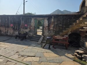 WhatsApp Image 2026-01-12 at 3.58.33 PM (1)